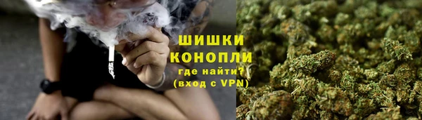 PSILOCYBIN Касимов