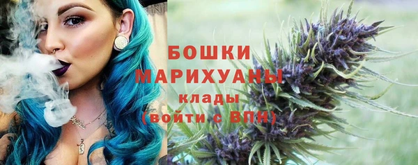 гидропоника Карпинск