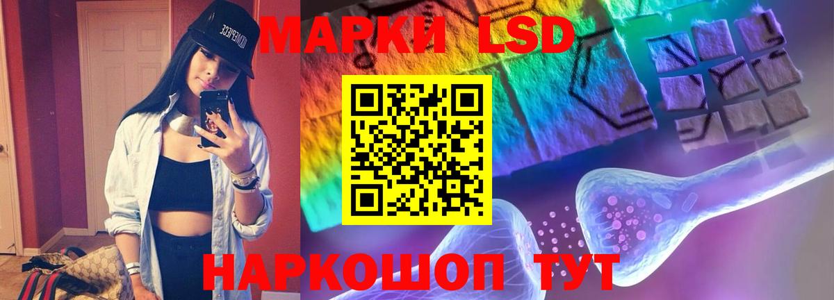 Лсд 25 экстази  Вход с VPN  Ногинск  LSD-25 экстази кислота  LSD-25 экстази кислота 