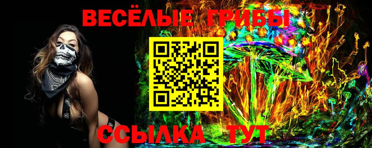 Галлюциногенные грибы Magic Shrooms Ногинск